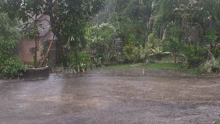 🔴 The Real Rain Sounds is live! For Relaxation