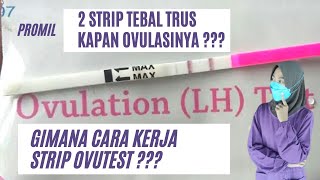 Cara kerja ovutest untuk mengetahui masa subur