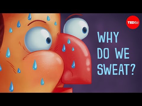 Thumbnail for the embedded element "Why do we sweat? - John Murnan"