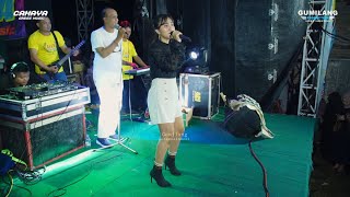 CAHAYA GRESS MUSIC - CINTAKU DIORS CELINE - WEDDING HARSONO & NOOR HIDAYAH KEDONDONG PASAR SEDO