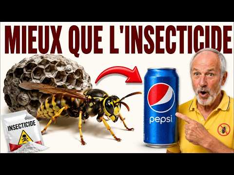 L'astuce Anti-Guêpes Que Les Pros Ne Vous Diront Jamais