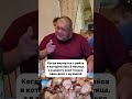 Когда в рейс взял всего один диск с музыкой