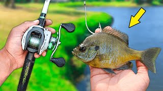 Fishing w/ LIVE BAIT for Pond MONSTERS!