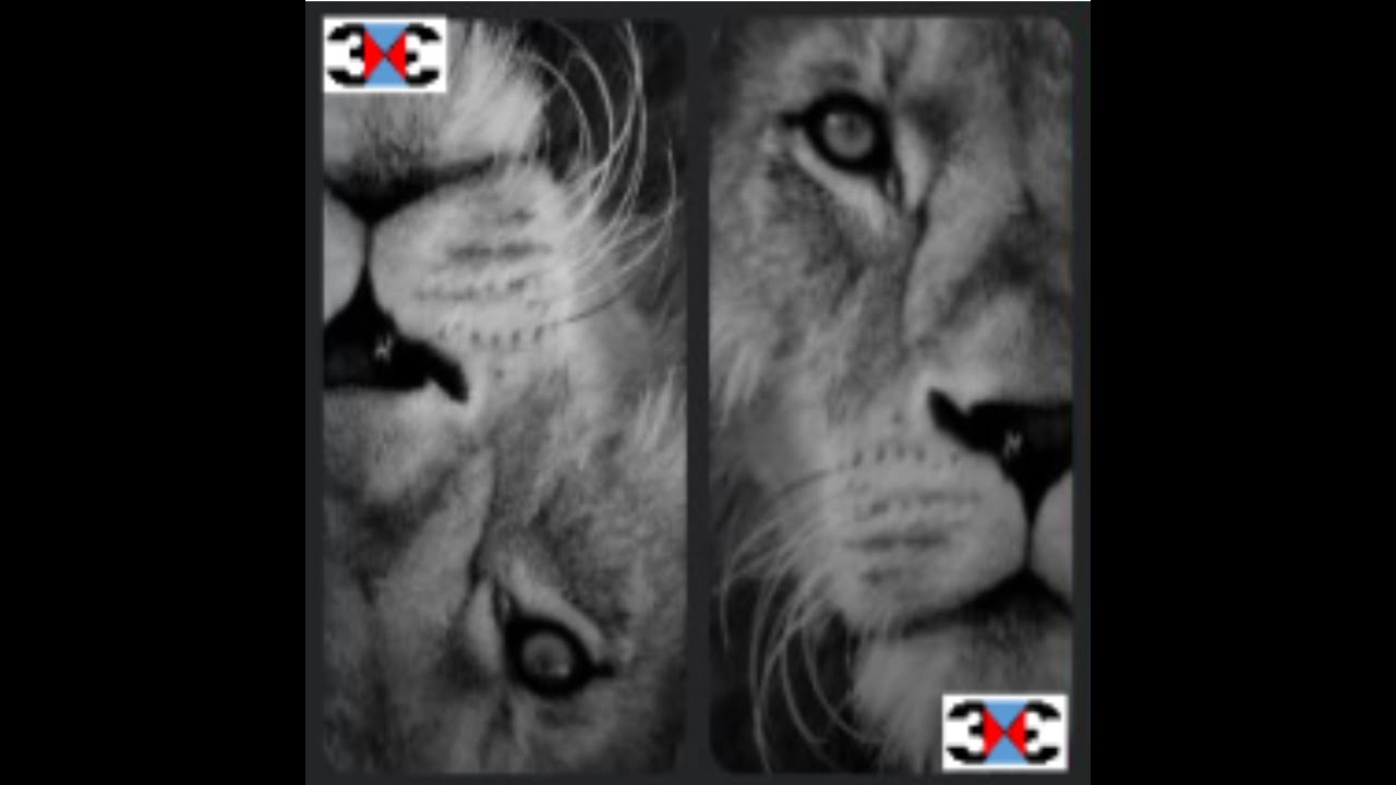 Module 10 2 Continuous Improvement and Growth to the Daycare Industry