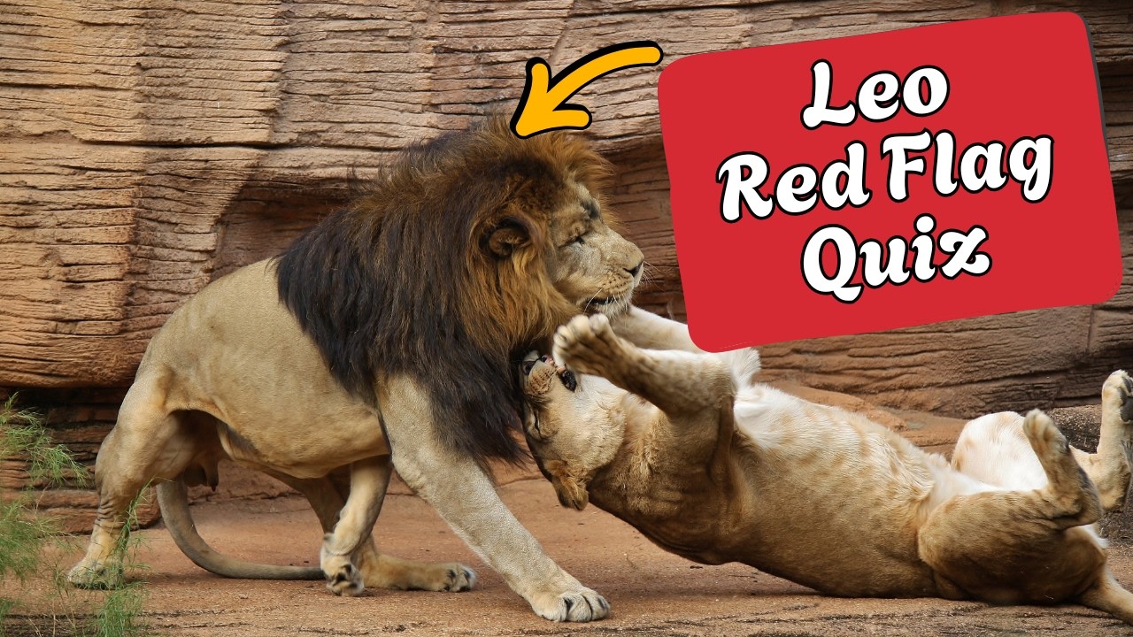 Identifying Early Red Flags for Leo In Any Relationships | Leo Love ...