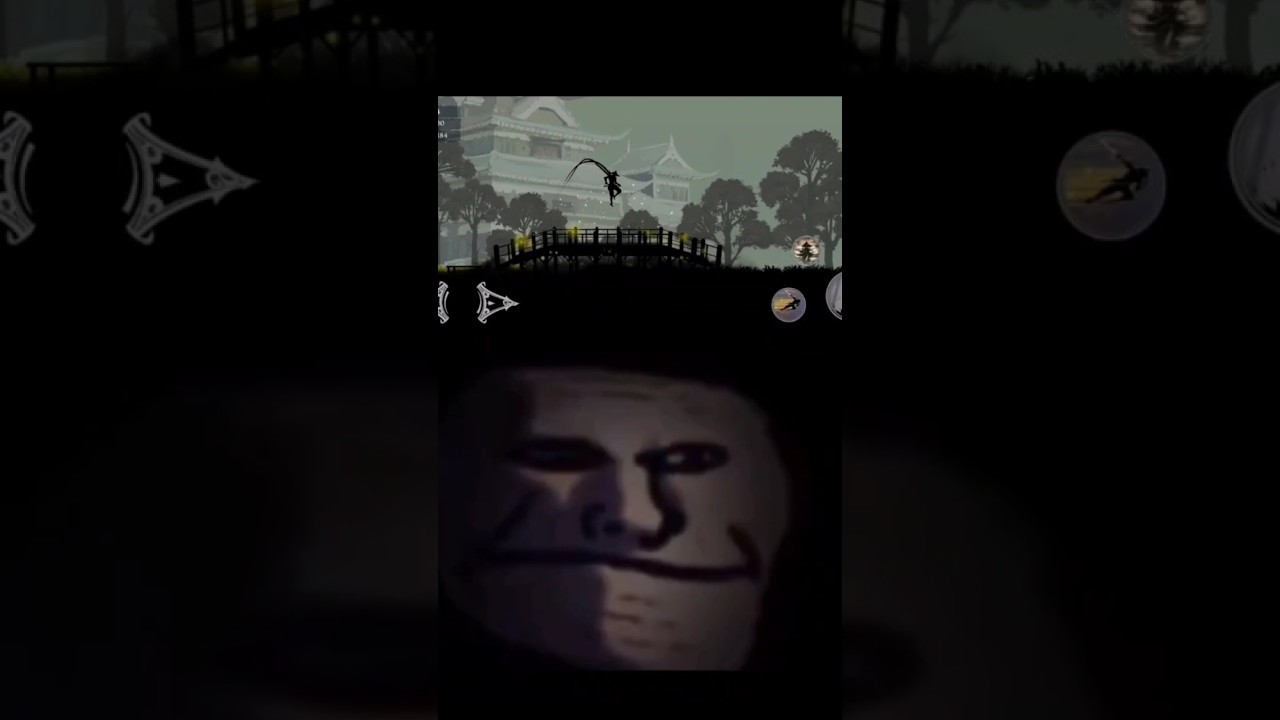 troll face in ninja arashi 