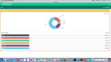 Business Dashboard for Tally.ERP 9 - Macbook