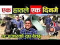 १ हातले गाई पालेर १ दिनमै २८ हजार कमाउने दाई भन्छन्  ‘म दुईटै हात हुनेले जति काम गर्छु’│Nepal Chitra