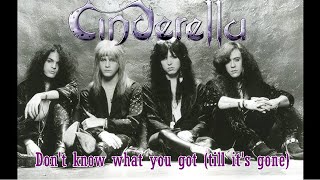 Don't know what you got (till it's gone) - Cinderella | A harmonica tabs and lyrics #cover