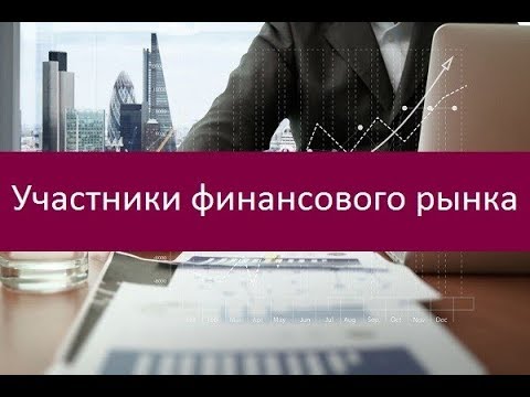 Участники финансового рынка. Описание