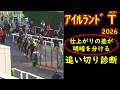アイルランドトロフィー2026追い切り診断｜ここを目標に仕上がった馬はどれだ？18頭の仕上がりを徹底分析