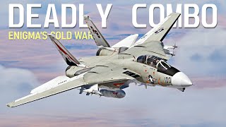 Pilot And RIO Slap The Red Team | DCS | F-14A | Enigma's Cold War by Joemate 3,279 views 6 months ago 15 minutes