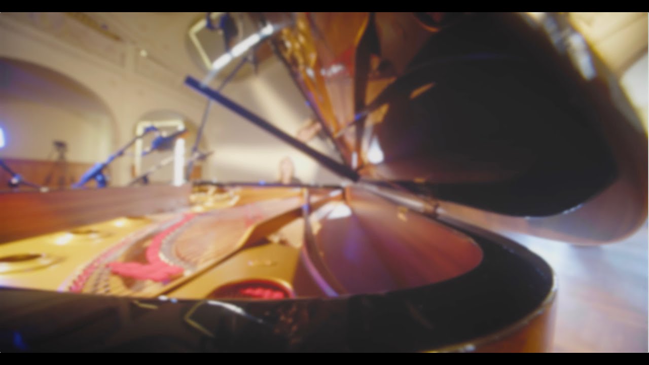 Michael Buk - Shyness | Irina Zahharenkova