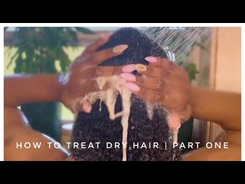 How To Treat Dry Hair | Part 1 - YouTube