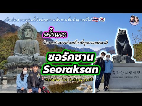 ชมใบไม้เปลี่ยนสี เดินป่า ปีนเขา ครั้งแรกกับการเดินทางเที่ยวซอรัคซาน Konkaiban Live in Korea Ep.16
