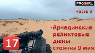 картинка: часть5 Дон Арчединские реликтовые дюны