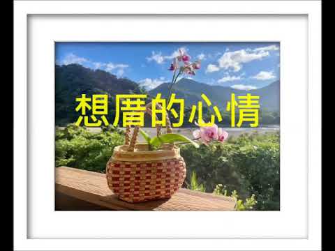想厝的心情(G) / 二胡 - 林宏遠