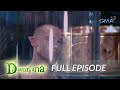 Dwarfina full episode 40