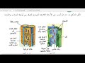 أنسجة النبات الزهري العلوم والحياة التاسع الاساسي الفصل 2