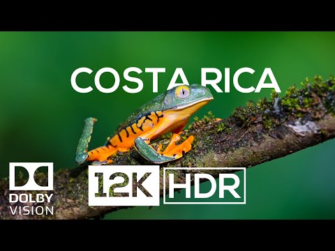 COSTA RICA IN