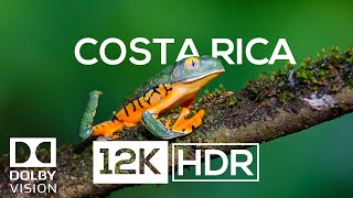 Costa Rica In 12K Hdr 60Fps (Ultra Hd)