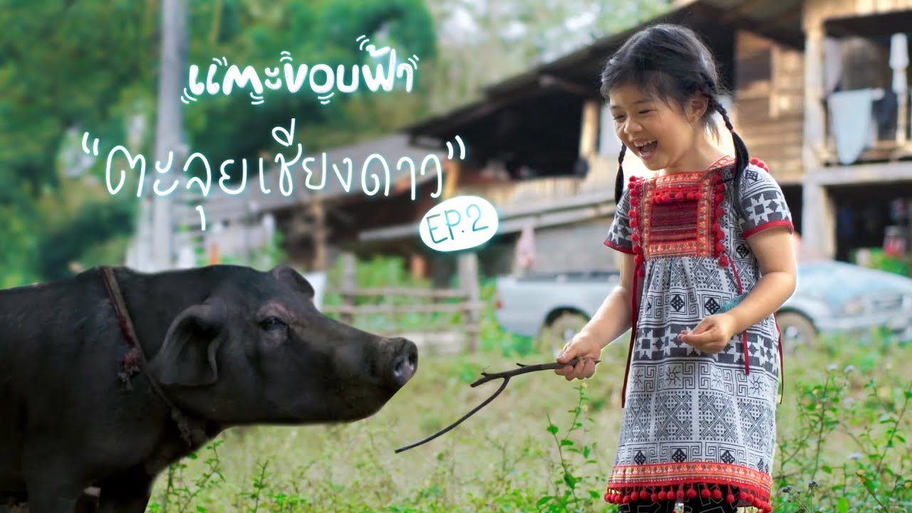 ตั๊ก เอลซี่ บีลีฟมาตะลุยเชียงดาวกันต่อคร้าบ ขอบคุณฟอร์ดเอเวอร์เรสมากๆ ครับที่ให้ตั๊กได้ทำตามฝัน