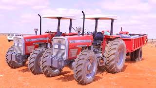 Wasaaradda Beeraha Dowlad Goboleedka Galmudug oo guddiga beeraleyda ku wareejisay laba cagaf. Wasaaradda Beeraha Dowlad Goboleedka Galmudug oo guddiga beeraleyda ku wareejisay laba cagaf.