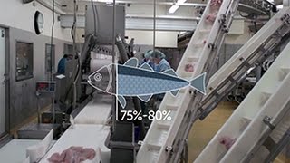 Icelandic Cod Fish Utilization
