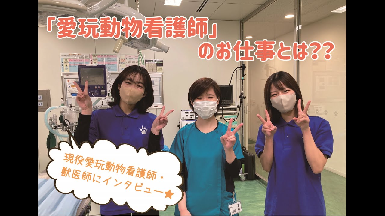取得目標資格 | 動物トータルケア学科 | ヤマザキ動物看護専門職短期大学