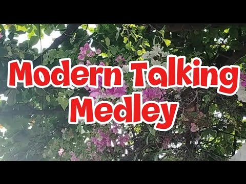 Modern Talking Medley || Cover by: Lei Arbis Vlog