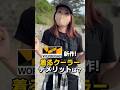 自腹で購入したワークマンペルチェベスト！実際使ってみたけど…