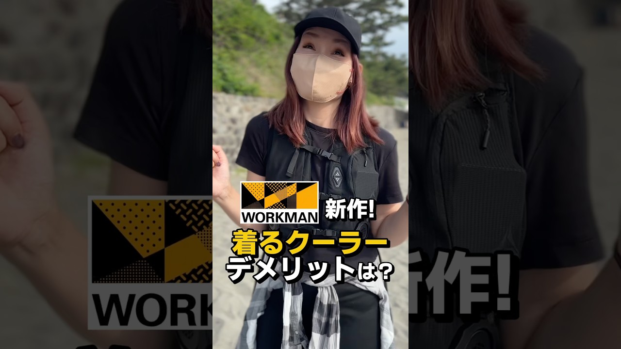 WindCore クールベスト 本体 ブラック Fサイズ 自腹で購入したワークマンペルチェベスト！実際使ってみたけど… - YouTube