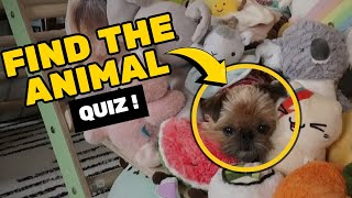 Find the Hidden Animals # 7 🐾 screenshot 4