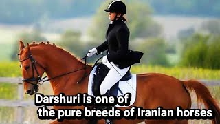 Dareshuri is one of the pure breeds of Iranian horses🐴🐎🇮🇷. نژاد دره شوری که تا به حال ندیدین