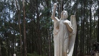 The first burial here was in 1869! The cemetery in Lovedale.