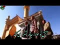 افتاده به دامم چو صیدم به پای ادب مست می نابم