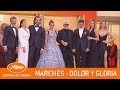 DOLOR Y GLORIA - Les marches - Cannes 2019 - VF