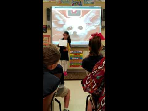 Phoenix's Fennec Fox presentation 2016