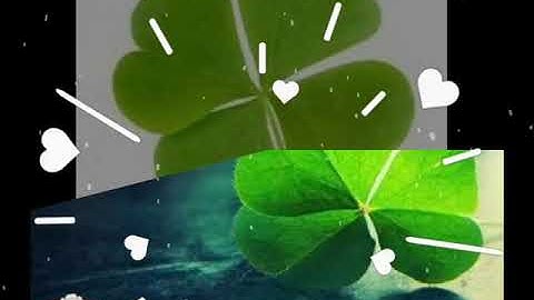 Chúc cho những ai xem đc video này thi tốt nhé🍀🍀