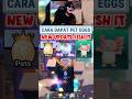 CARA DAPATKAN PET EGGS DI NEW UPDATE FISH IT #fishit #shorts
