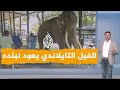 شبكات فيل يسبب خلافا دبلوماسيا بين تايلاند وسريلانكا 