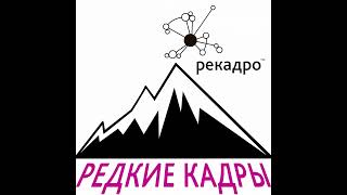 Креативность. 8 шагов для идей нового уровня.