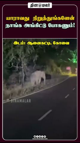 யாராவது நிறுத்துங்களேன் நாங்க அங்கிட்டு போகணும்!
