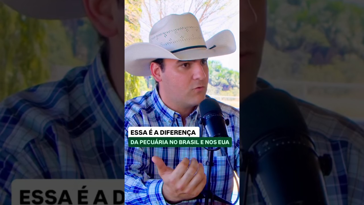 a diferença entre Brasil e EUA na pecuária! 📽️ joaodomingosadvogados 