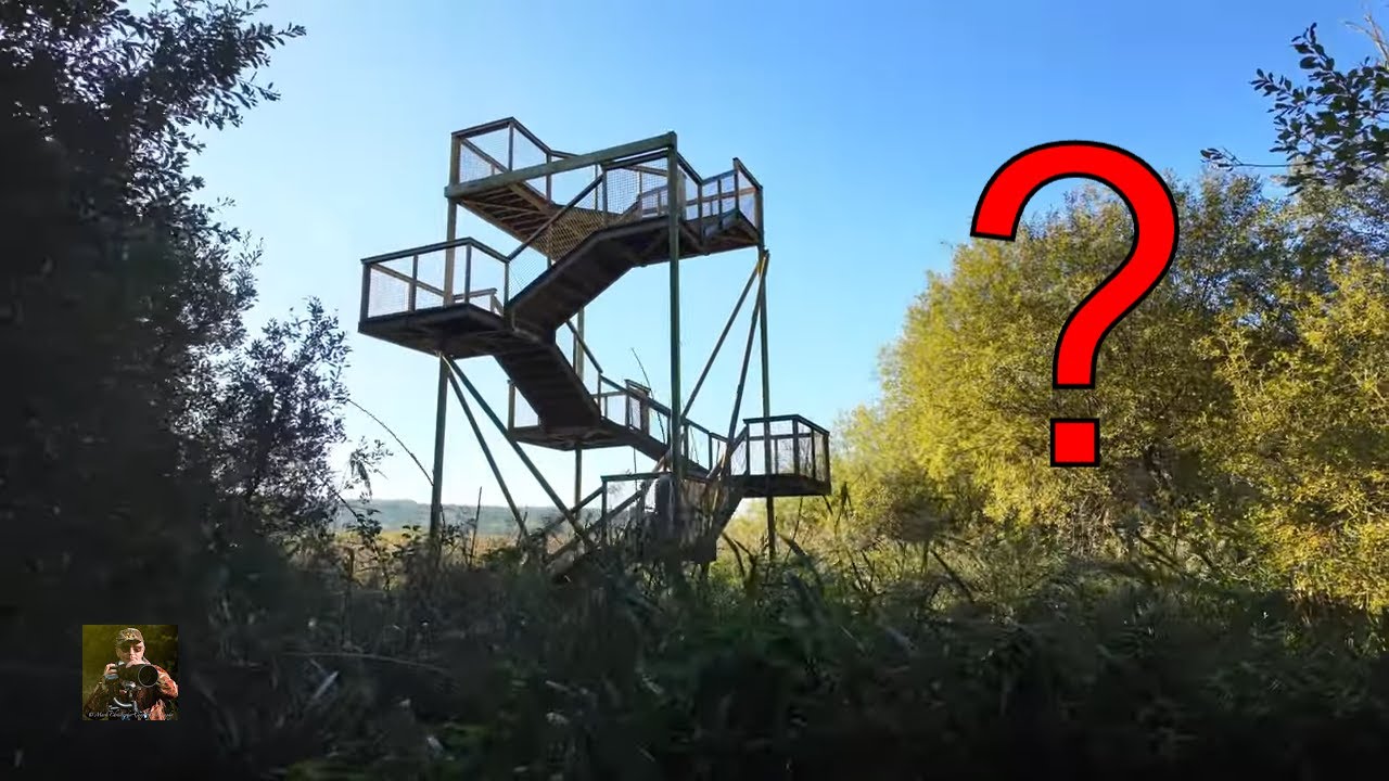 Королевское общество защиты птиц Лейтон Мосс: великолепное приключение в сериале «Камилла и я»