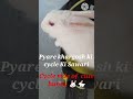 Cute bunny 🐰 🐇 #music #englishcorrelation
