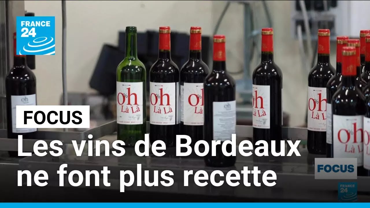 Changer pour continuer d'exister : les vins de Bordeaux ne font plus recette • FRANCE 24
