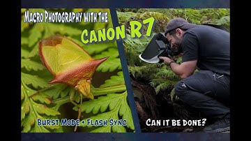 A New Macro Technique with the CANON R7: I Wish I Had Known This Sooner