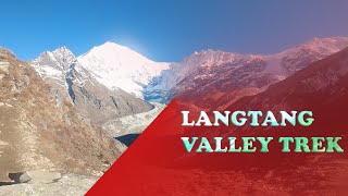 लाङटाङको स्वर्णिम यात्रा । Trek to Langtang Valley । Kyanjin Gompa । Kyanjin RI ।