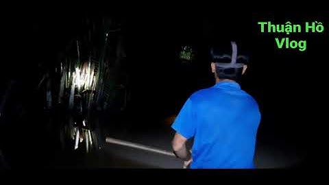 Săn đêm cùng teem ba khờ miền tây về làm món cò khèo nước dừa quá đã